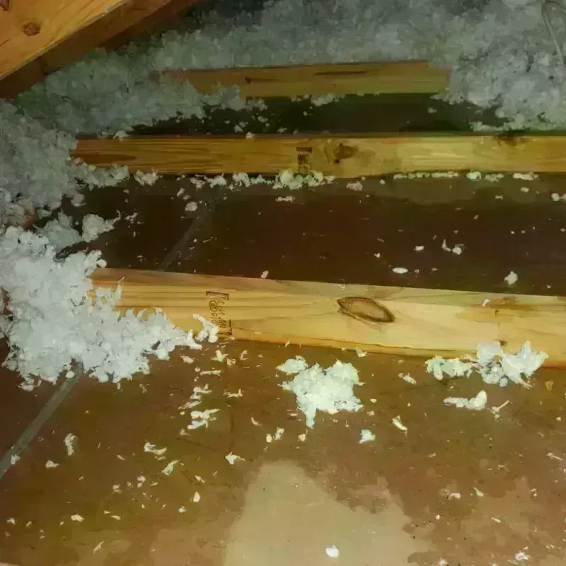 Attic Water Damage in Rocky Mount, NC