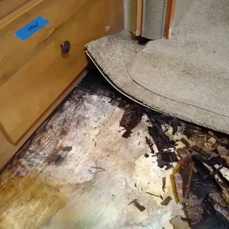 Wood Floor Water Damage in Rocky Mount, NC